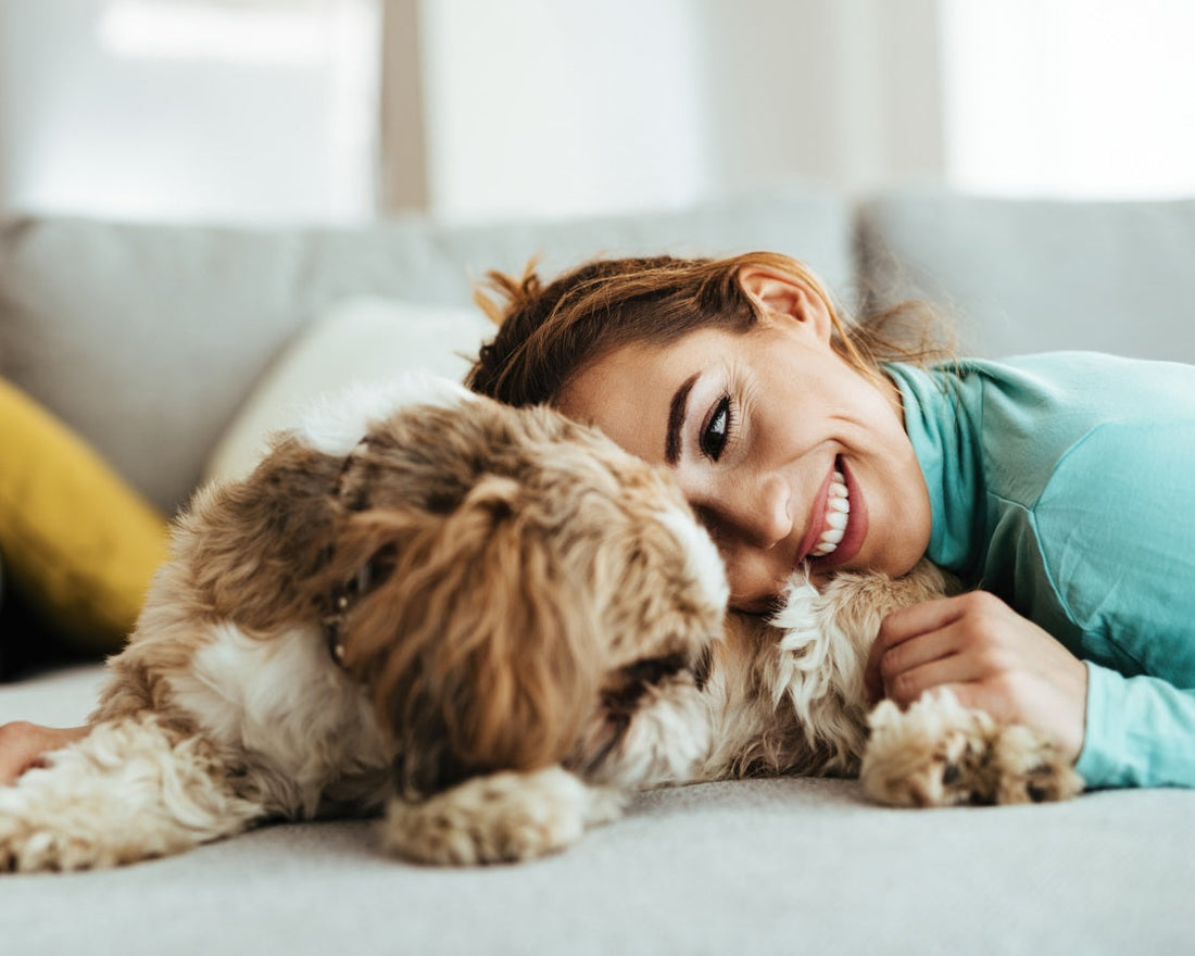 Collar personalizado con foto de tu mascota: un símbolo de amor eterno