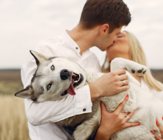 La importancia emocional de los recuerdos personalizados de nuestras mascotas