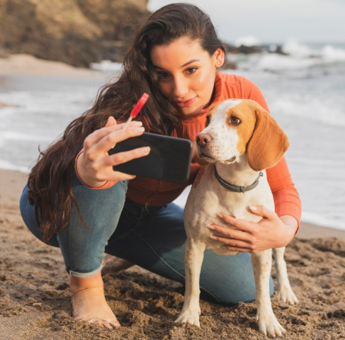 Por qué regalar un collar con la foto de tu mascota es un detalle único y eterno