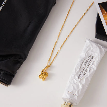 Collar Ylisse