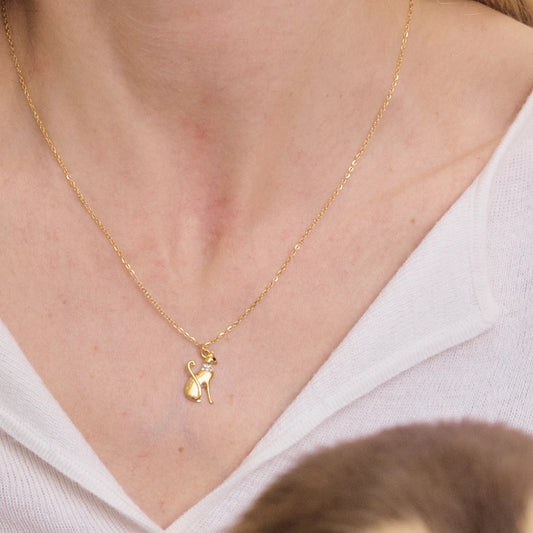Collar felino Syraen